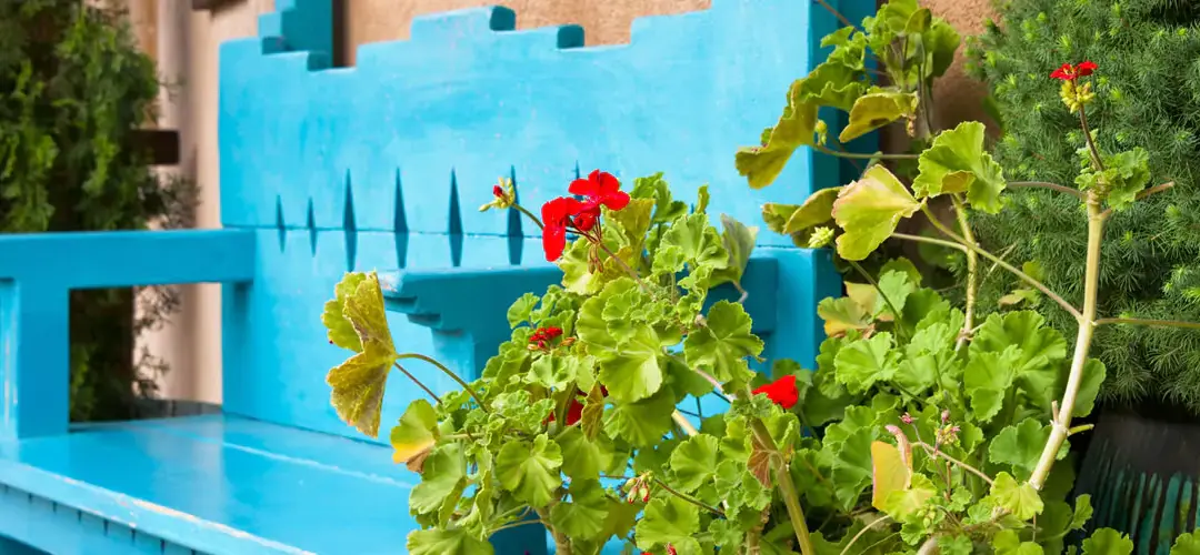 39 Unique Things To Do In Santa Fe